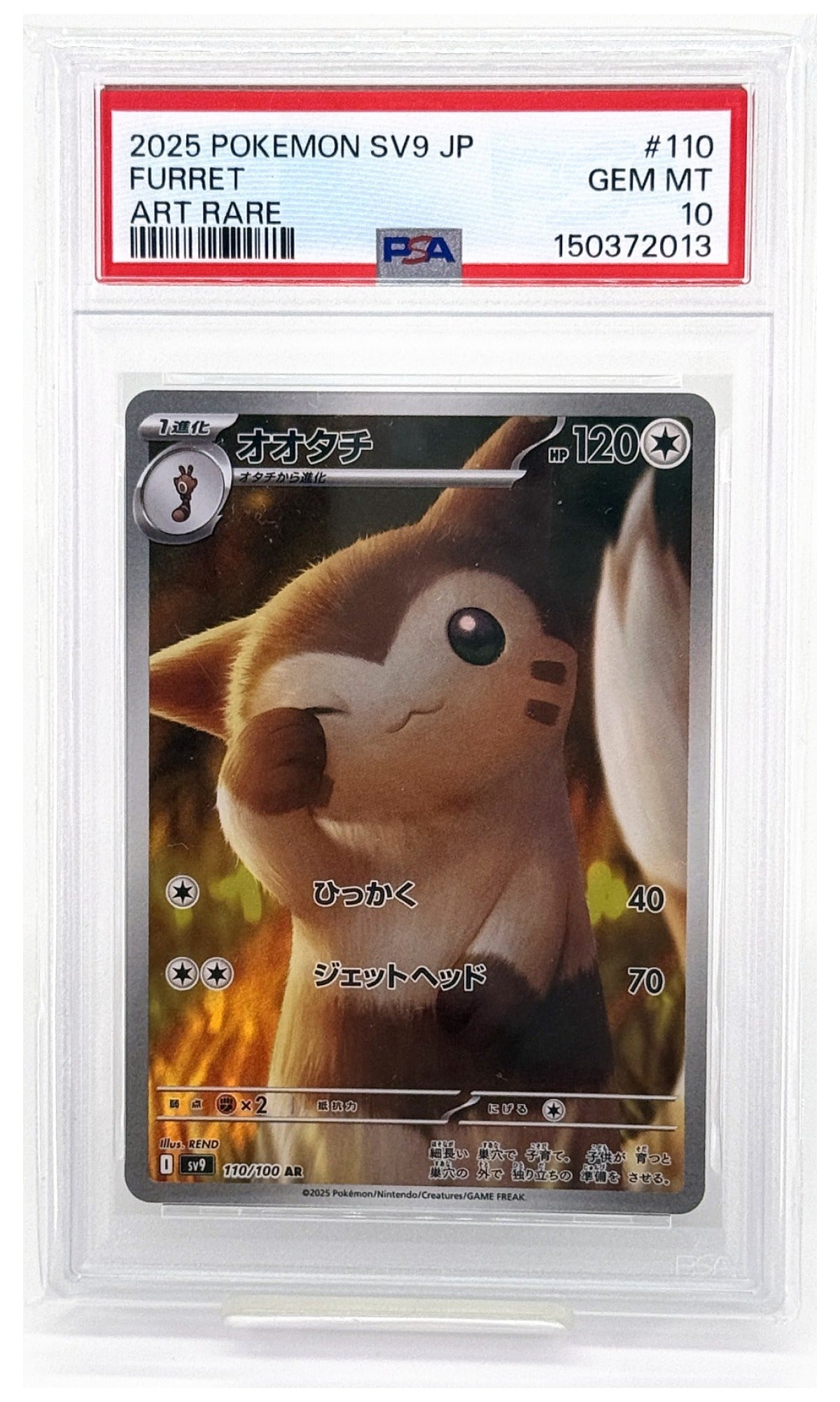 2025 Pokemon Japanese SV9-Battle Partners Furret Art Rare #110 PSA 10