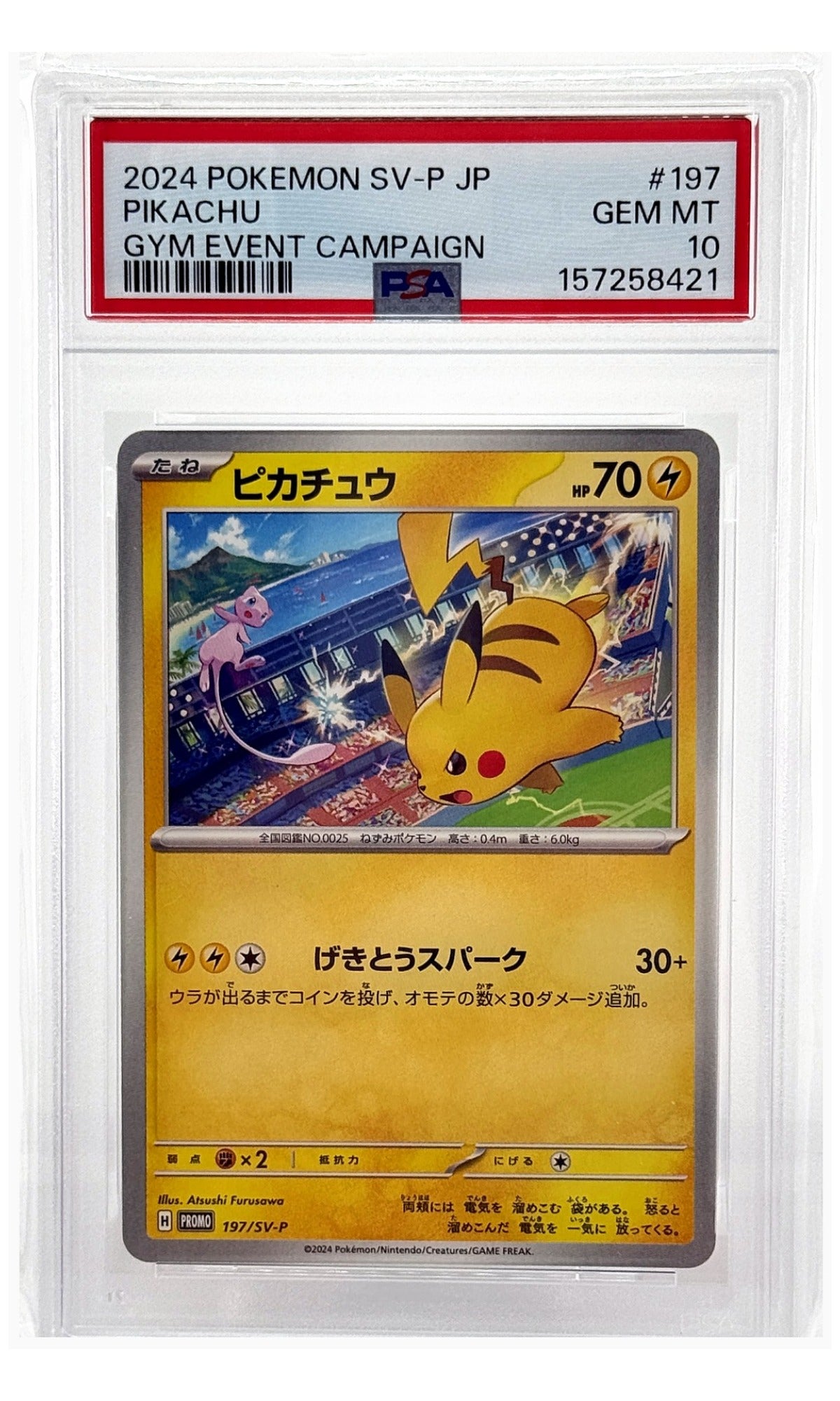 2024 Pokemon Japanese SV-P Promo Pikachu Gym Event Campaign #197 PSA 10